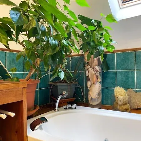 Refuge Raffine - 2 Salons, Double Jacuzzi, Jardin * Chatou